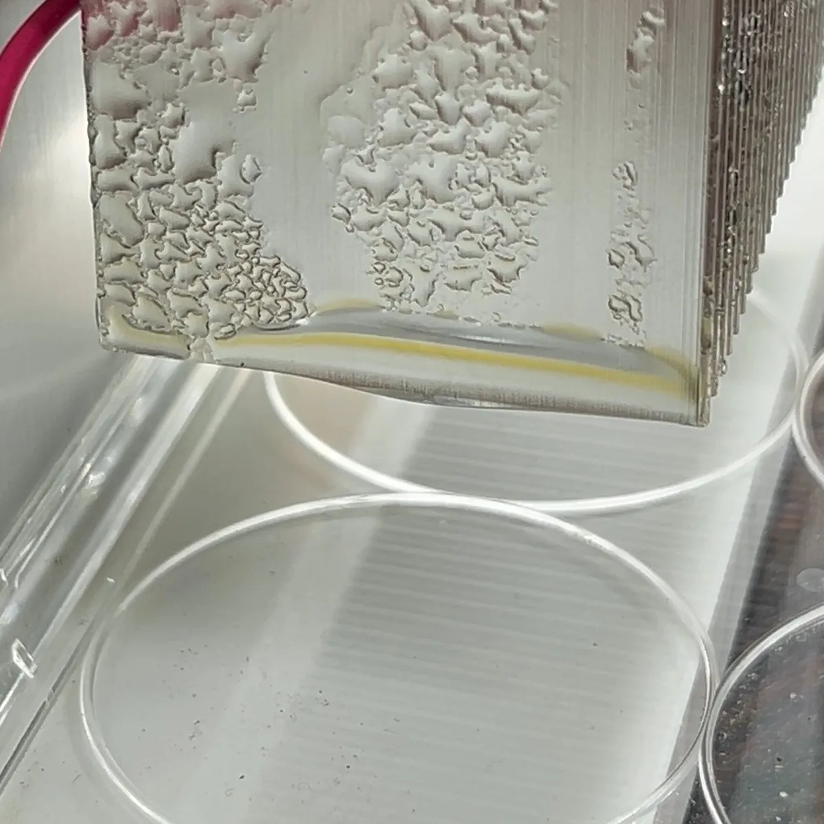 卓上試験中、集水パネルから水滴が皿に落ちる様子。